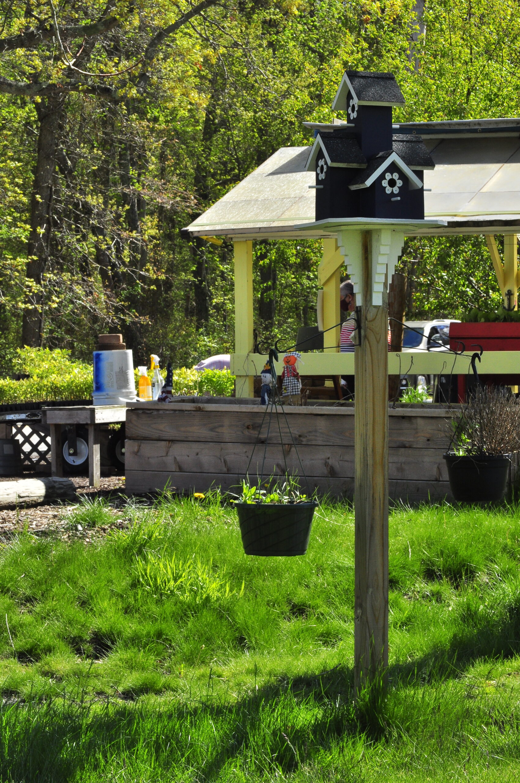 Pics from our plant sale! Barrington Farm School