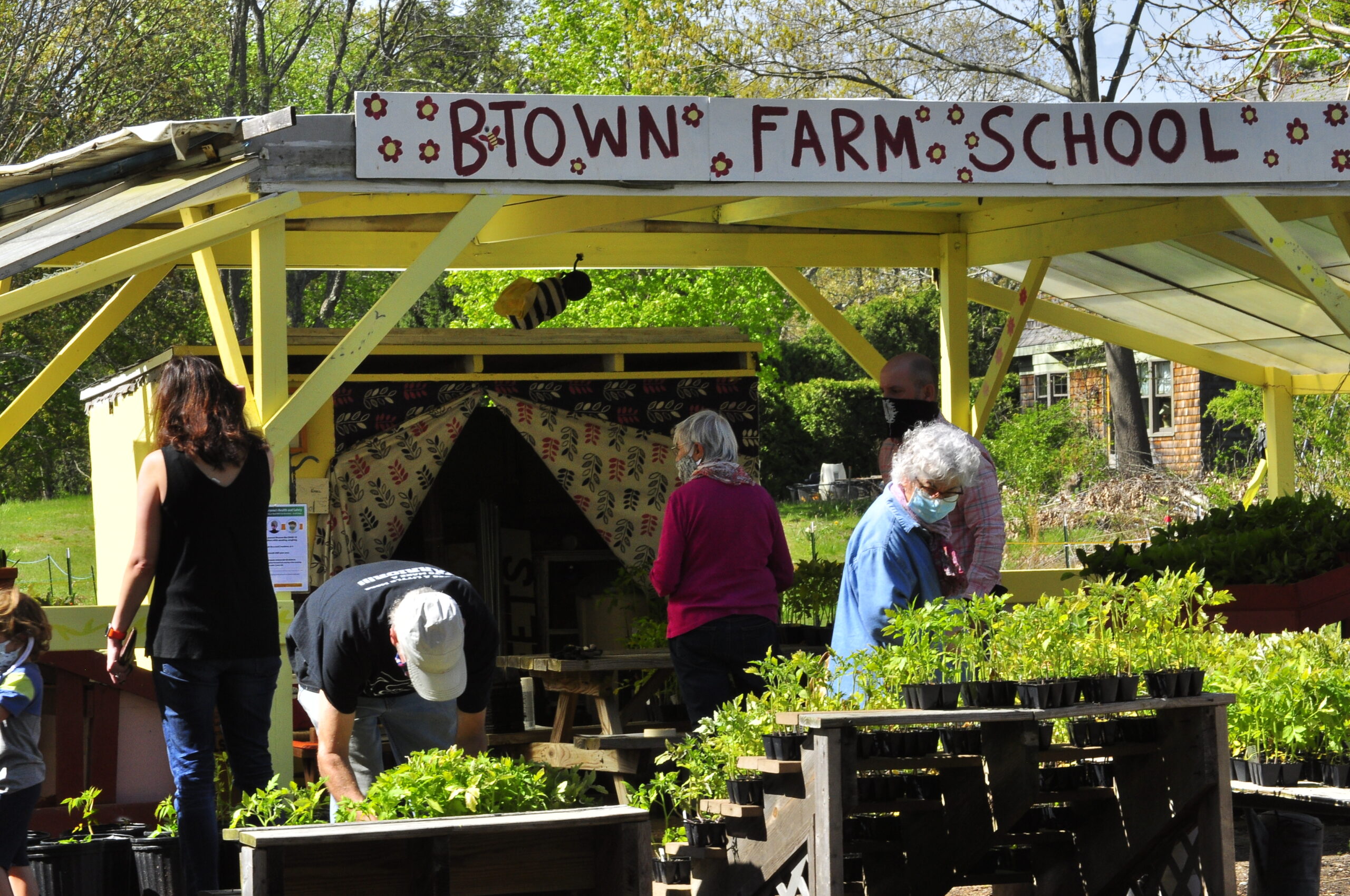 Pics from our plant sale! Barrington Farm School