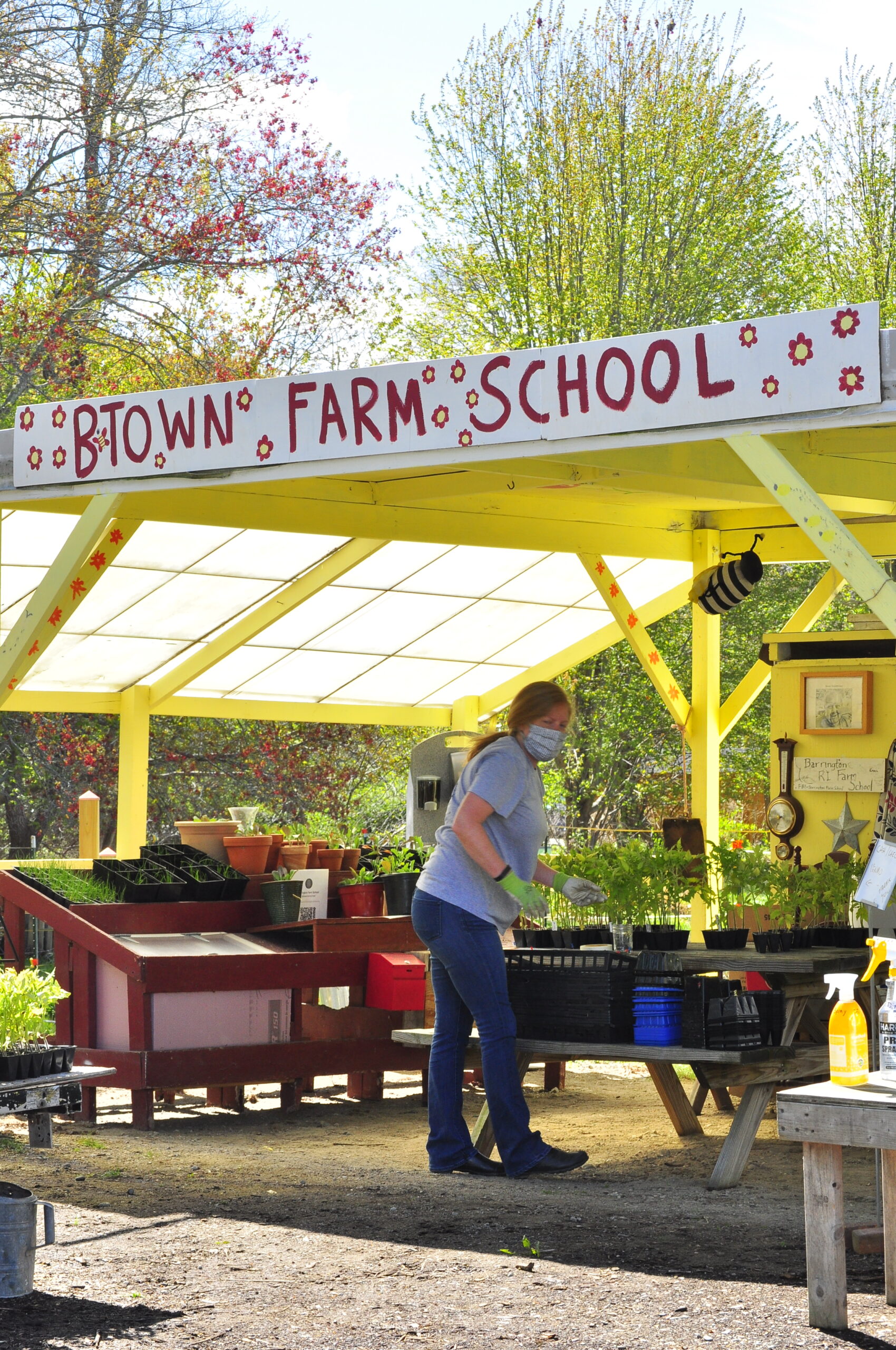 Pics from our plant sale! Barrington Farm School