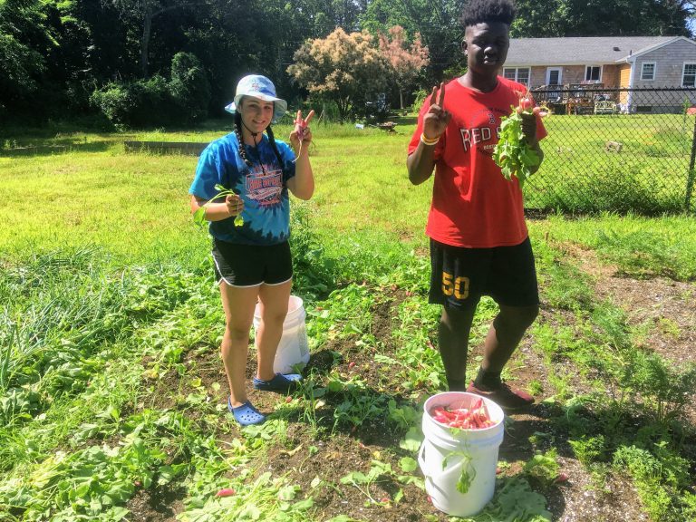 Barrington Farm School – A nonprofit community farm in Barrington ...