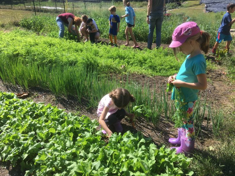 Barrington Farm School – A nonprofit community farm in Barrington ...