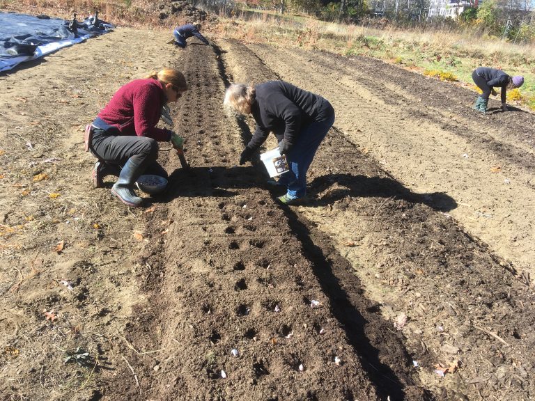 Barrington Farm School – A nonprofit community farm in Barrington ...