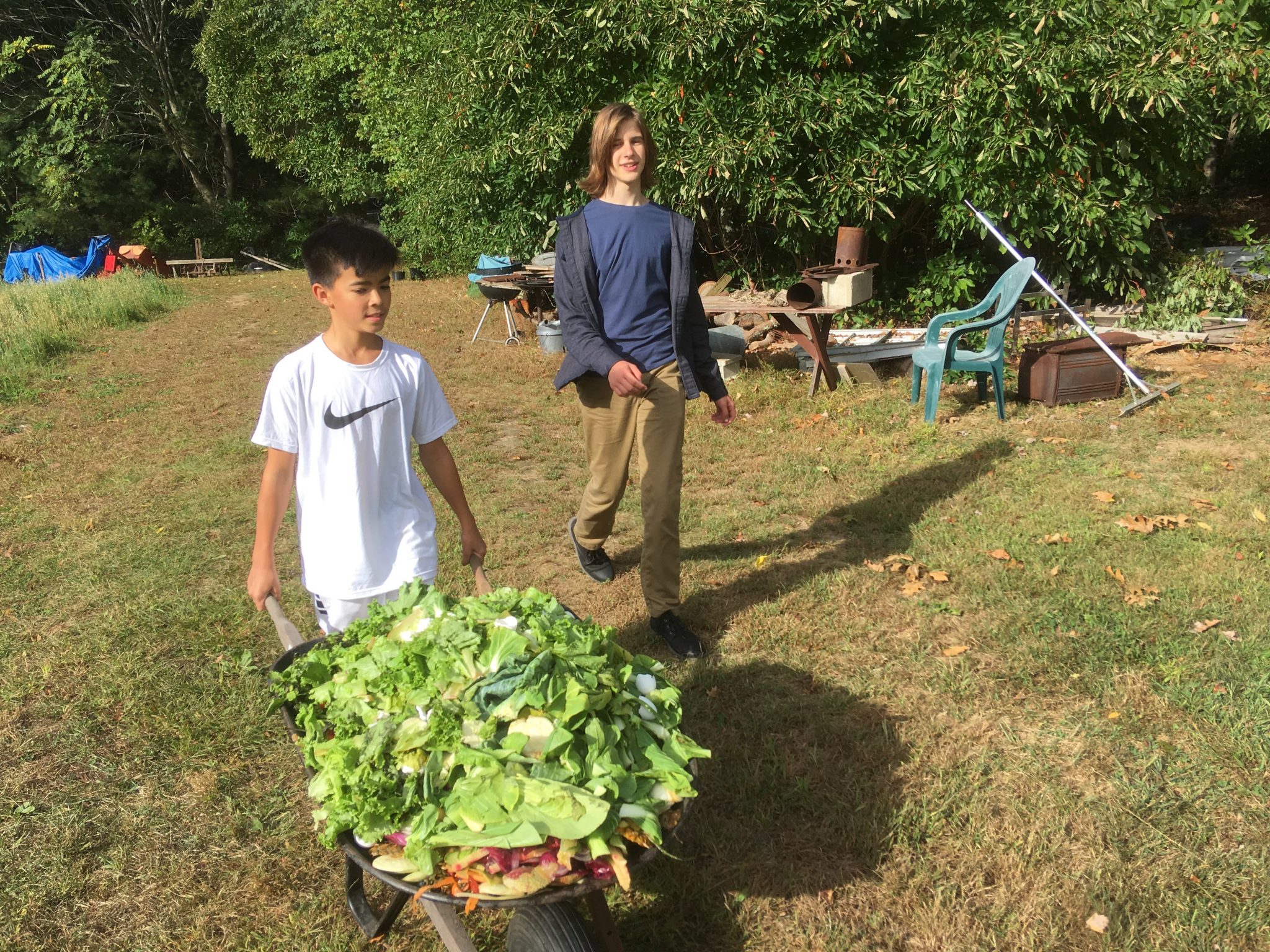 Barrington Farm School – A nonprofit community farm in Barrington ...
