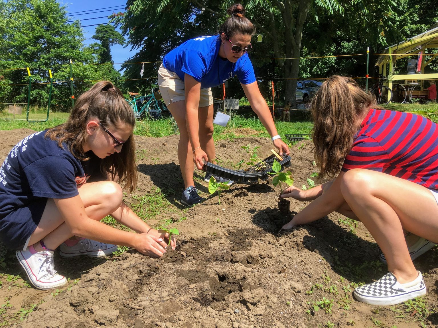 Barrington Farm School – A nonprofit community farm in Barrington ...