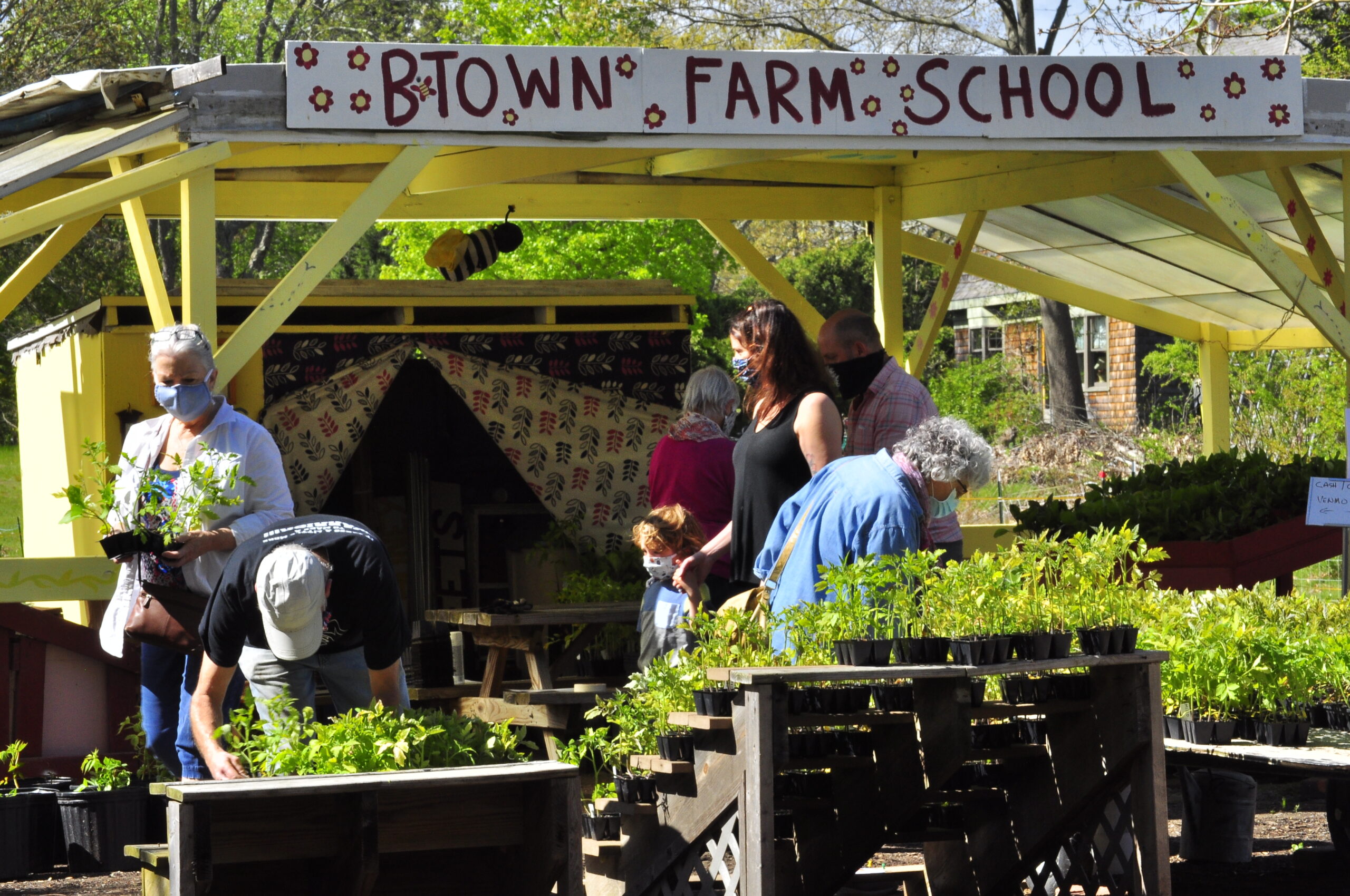 Pics from our plant sale! – Barrington Farm School