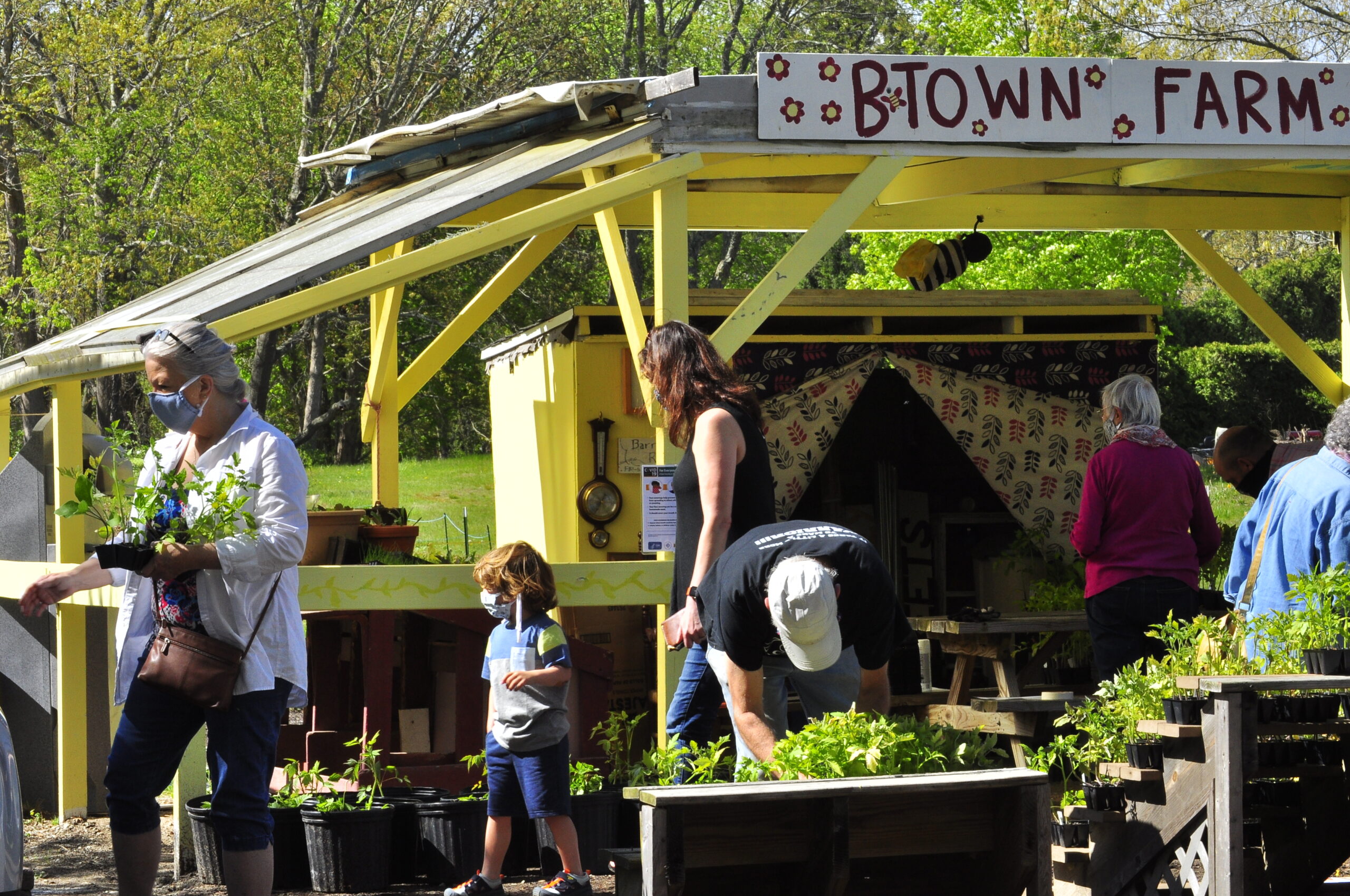 Pics from our plant sale! – Barrington Farm School