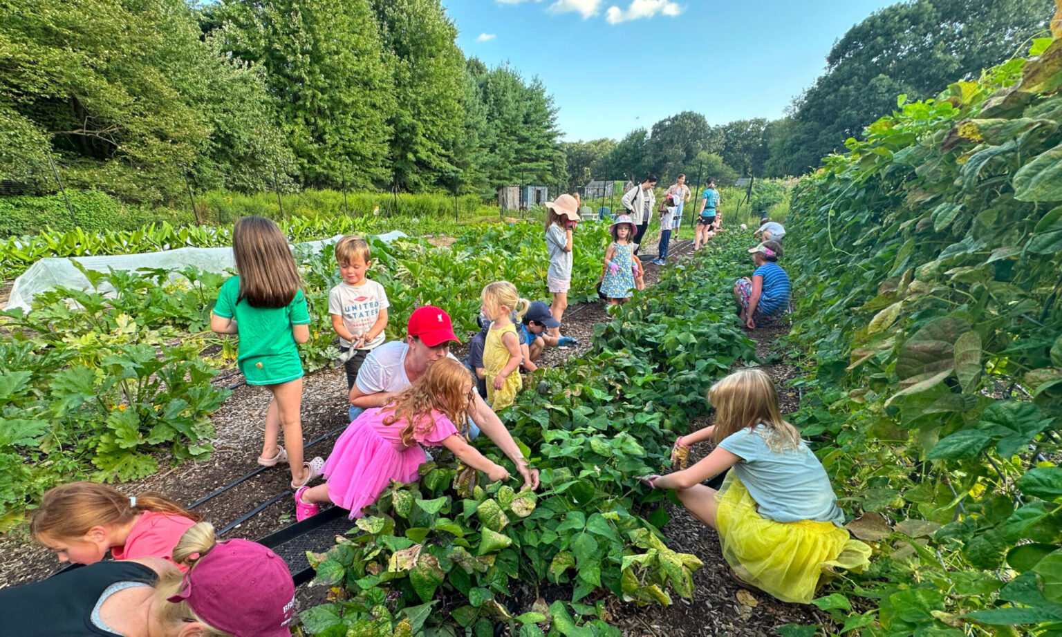 Mission Vision Barrington Farm School Mission Vision Barrington Farm School